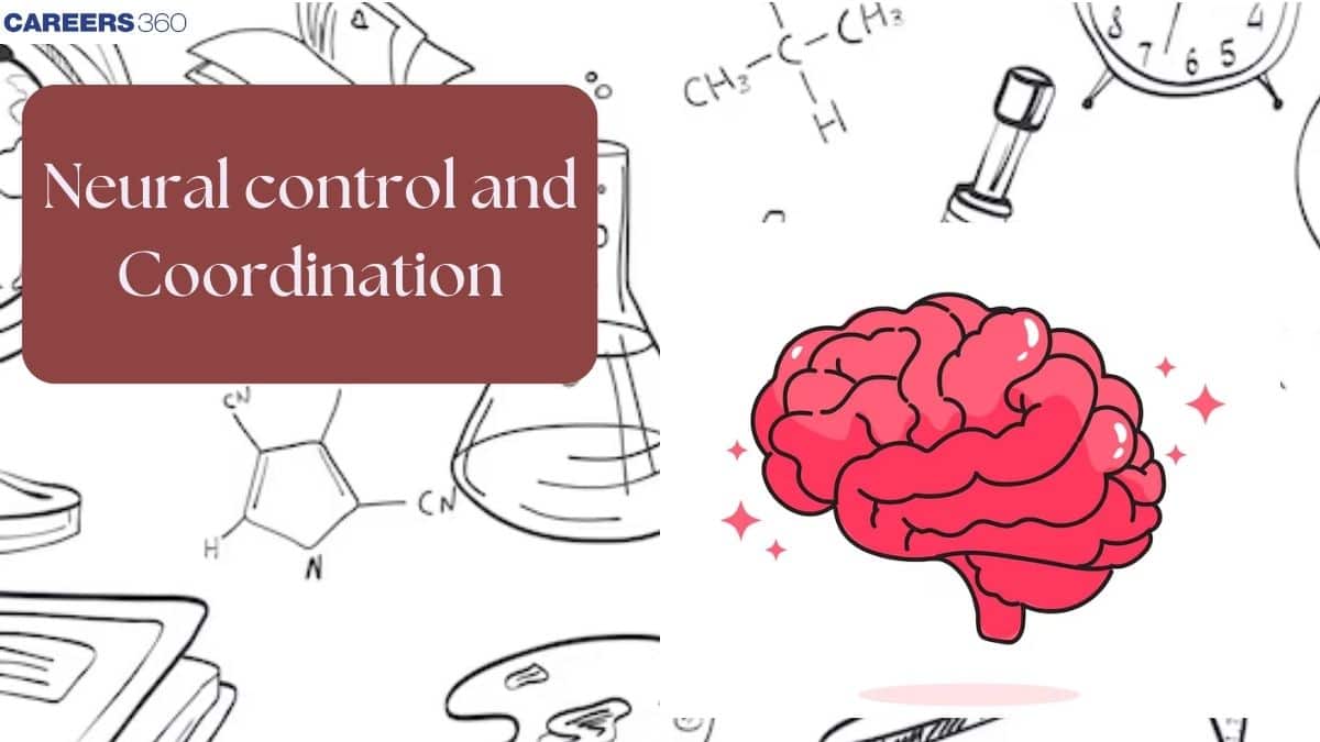 Neural Control and Coordination